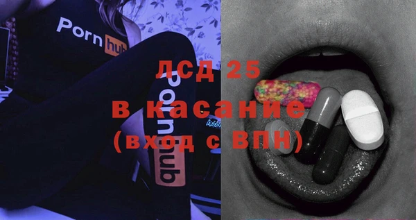 ПСИЛОЦИБИНОВЫЕ ГРИБЫ Алзамай