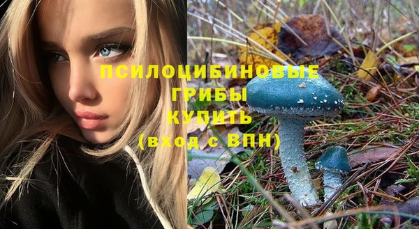 ПСИЛОЦИБИНОВЫЕ ГРИБЫ Алзамай
