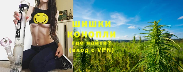 ПСИЛОЦИБИНОВЫЕ ГРИБЫ Алзамай