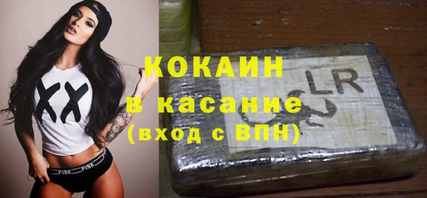 ПСИЛОЦИБИНОВЫЕ ГРИБЫ Алзамай