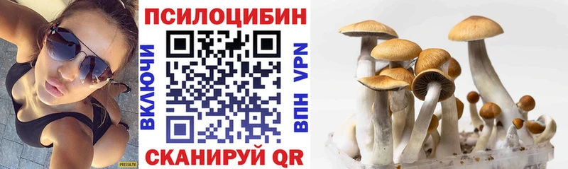 Псилоцибиновые грибы прущие грибы  блэк спрут tor  Чапаевск  закладка 